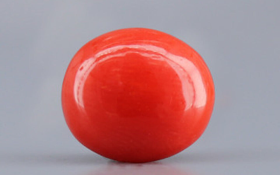 Red Coral - 3.97 Carat (4.39 Ratti - Moonga)