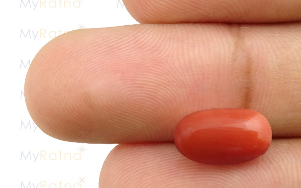 Red Coral - 4.01 Carat (4.43 Ratti - Moonga)