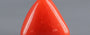 Red Coral - 4.02 Carat (4.44 Ratti - Moonga)