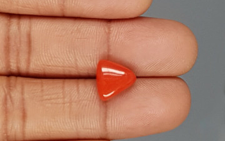 Red Coral - 4.02 Carat (4.44 Ratti - Moonga)