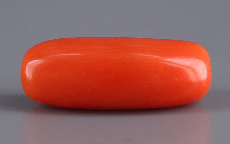 Italian Red Coral - 4.06 Carat Fine Quality CC-5586
