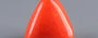 Italian Red Coral -  4.07 Carat Limited Quality TC 5245