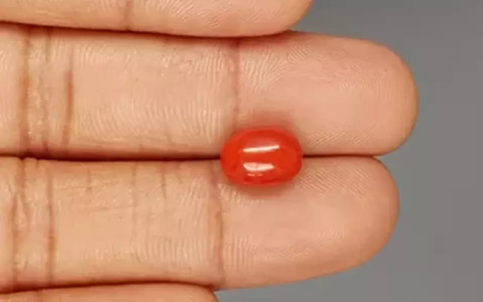 Red Coral - 4.08 Carat (4.51 Ratti - Moonga)