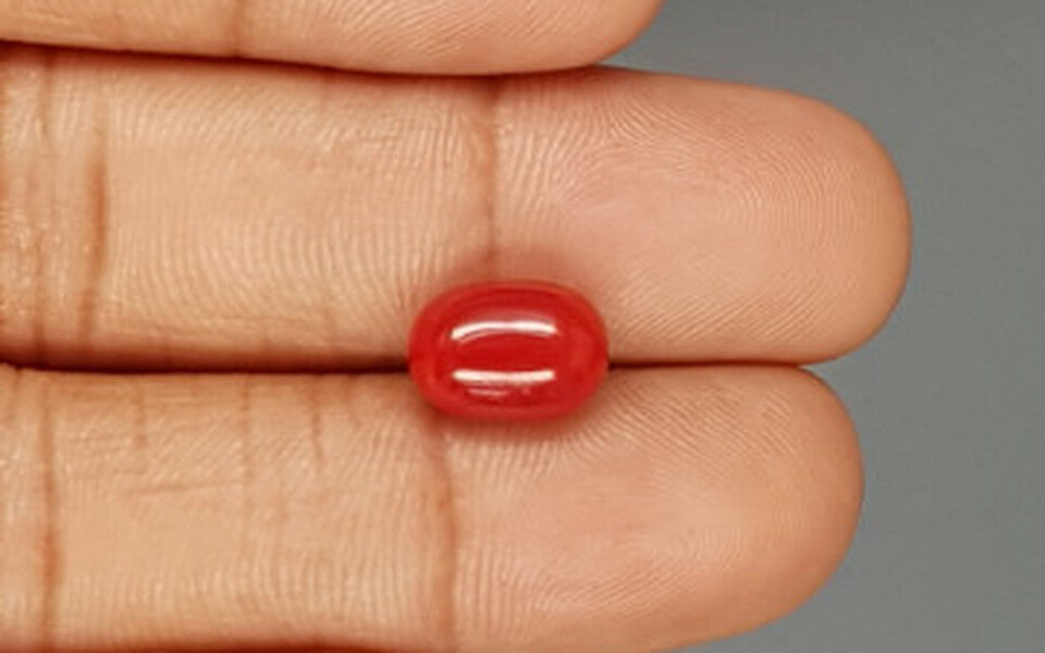 Red Coral - 4.15 Carat (4.59 Ratti - Moonga)