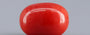 Red Coral - 4.15 Carat (4.59 Ratti - Moonga)