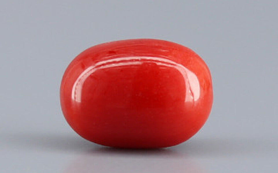 Italian Red Coral - 4.15 Carat Limited Quality CC-5806