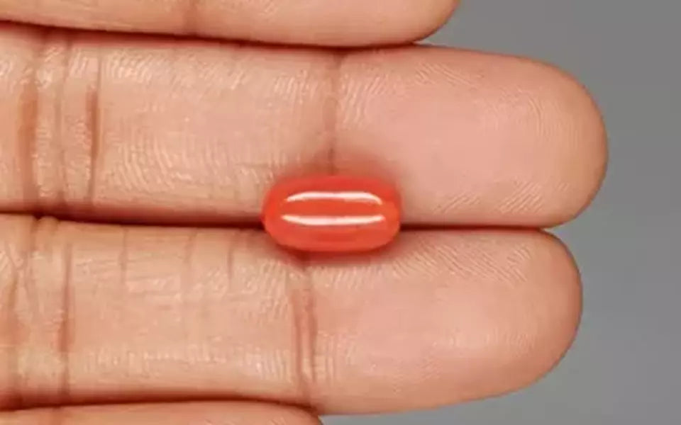 Red Coral - 4.15 Carat (4.59 Ratti - Moonga)
