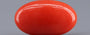 Red Coral - 4.23 Carat (4.67 Ratti - Moonga)