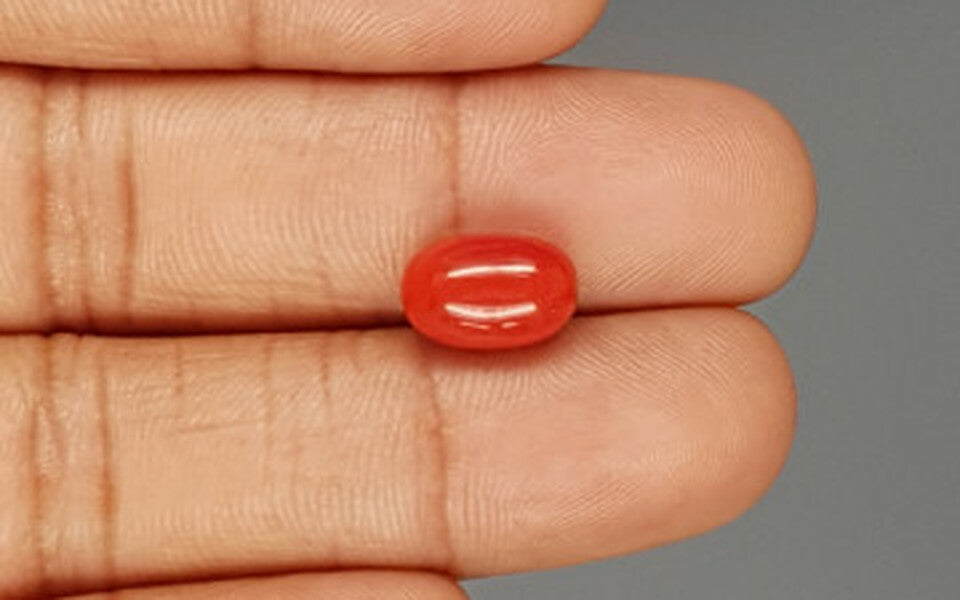 Red Coral - 4.26 Carat (4.71 Ratti - Moonga)