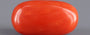 Red Coral - 4.27 Carat (4.72 Ratti - Moonga)
