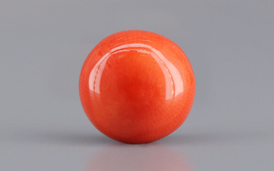 Red Coral - 4.29 Carat (4.74 Ratti - Moonga)