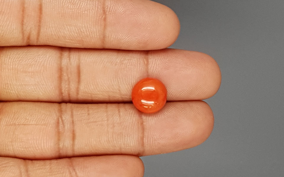Red Coral - 4.29 Carat (4.74 Ratti - Moonga)
