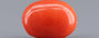 Italian Red Coral - 4.40 Carat Limited Quality CC-5811