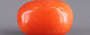 Italian Red Coral - 4.43 Carat Limited Quality CC-5666