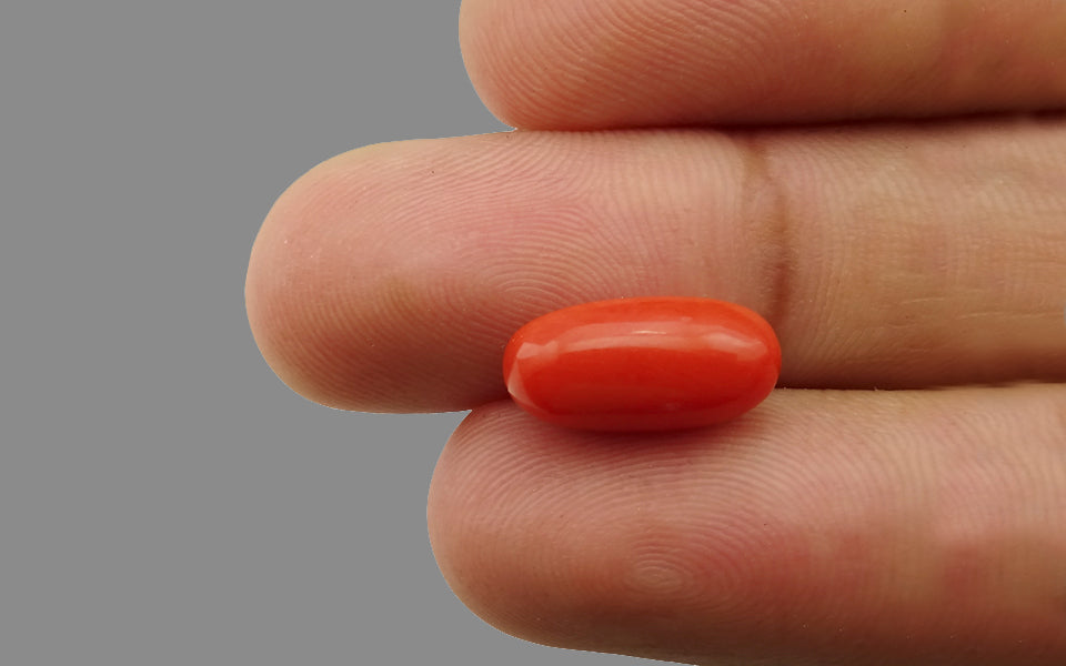 Red Coral - 4.54 Carat (5.02 Ratti - Moonga)