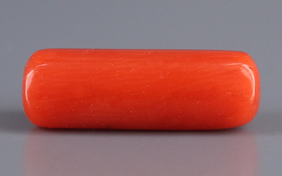 Red Coral - 4.54 Carat (5.02 Ratti - Moonga)