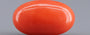 Italian Red Coral - 4.55 Carat Limited Quality CC-5813