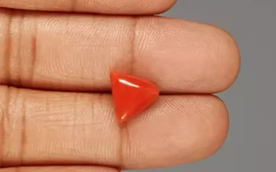 Italian Red Coral - 4.55 Carat Rare Quality TC-5332