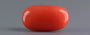 Red Coral - 4.56 Carat (5.04 Ratti - Moonga)