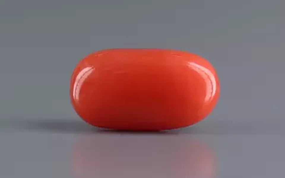 Red Coral - 4.56 Carat (5.04 Ratti - Moonga)
