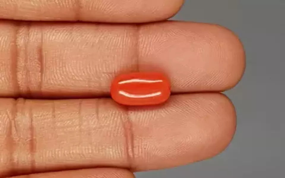 Red Coral - 4.56 Carat (5.04 Ratti - Moonga)