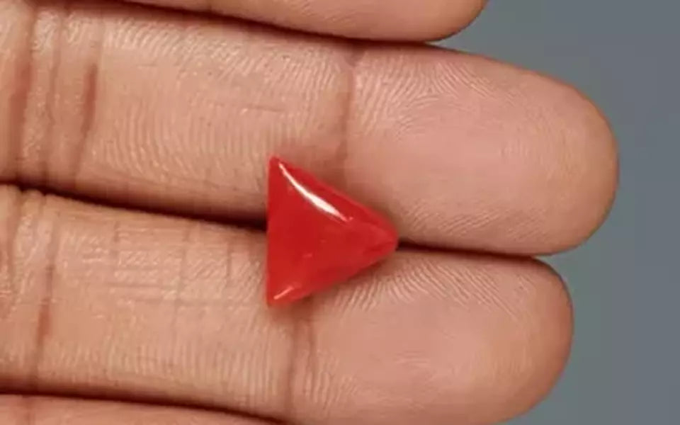 Red Coral - 4.64 Carat (5.13 Ratti - Moonga)