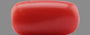 Italian Red Coral - 4.65 Carat Prime Quality CC-5625