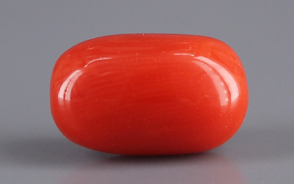 Red Coral - 4.66 Carat (5.15 Ratti - Moonga)