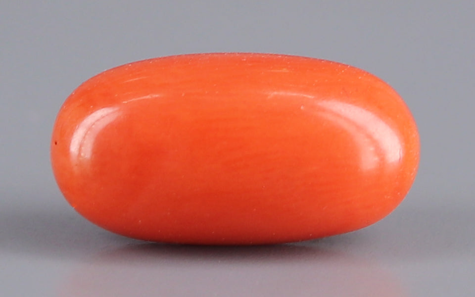 Red Coral - 4.67 Carat (5.16 Ratti - Moonga)