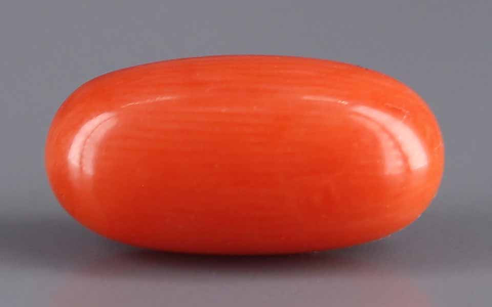 Red Coral - 4.71 Carat (5.20 Ratti - Moonga)