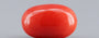 Red Coral - 4.72 Carat (5.22 Ratti - Moonga)