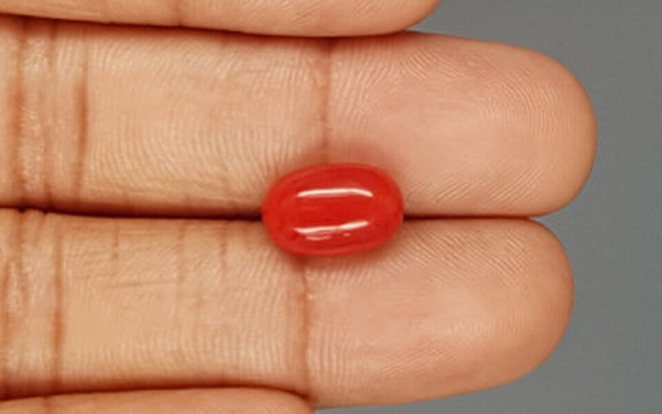 Red Coral - 4.72 Carat (5.22 Ratti - Moonga)