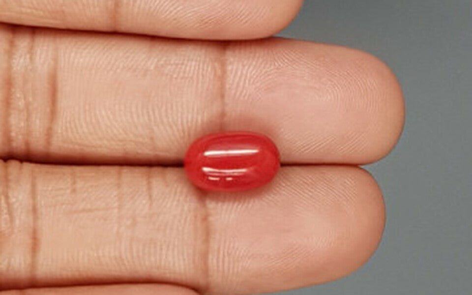 Red Coral - 4.75 Carat (5.25 Ratti - Moonga)