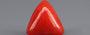 Italian Red Coral - 4.77 Carat Rare Quality TC-5380