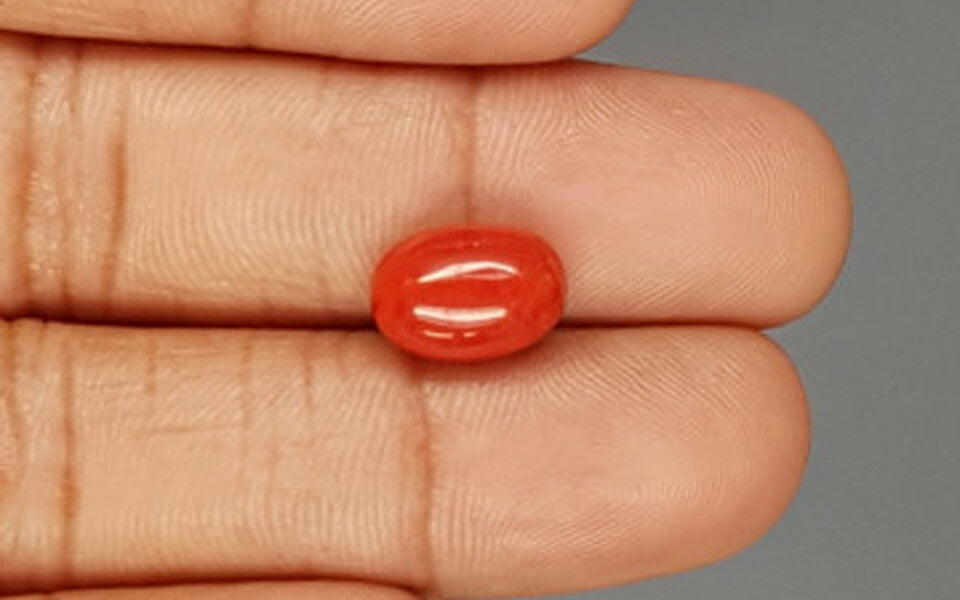 Red Coral - 4.81 Carat (5.31 Ratti - Moonga)