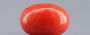 Red Coral - 4.81 Carat (5.31 Ratti - Moonga)