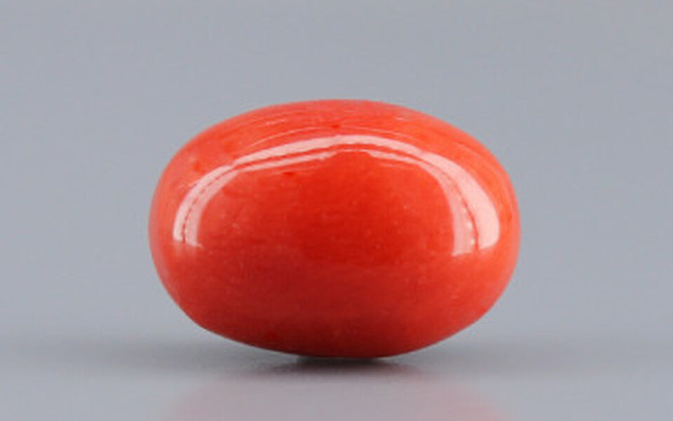 Red Coral - 4.81 Carat (5.31 Ratti - Moonga)