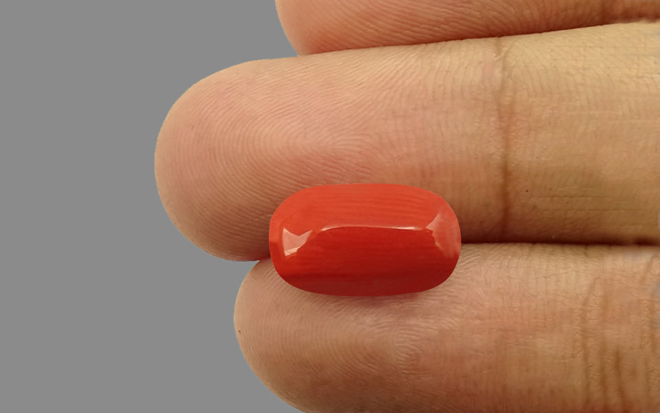 Red Coral - 4.84 Carat (5.35 Ratti - Moonga)