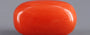 Red Coral - 4.84 Carat (5.35 Ratti - Moonga)