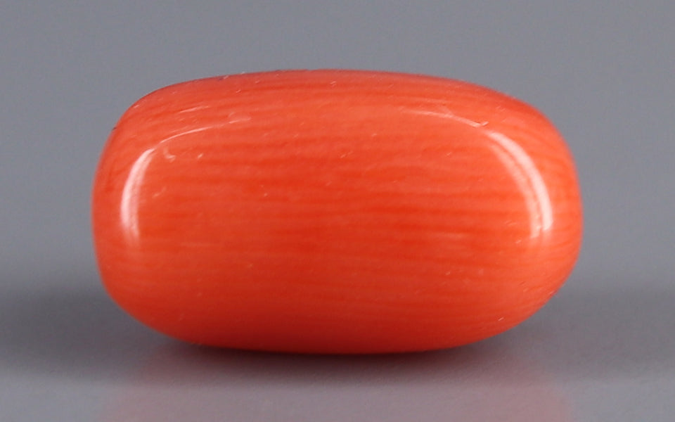 Red Coral - 4.88 Carat (5.39 Ratti - Moonga)