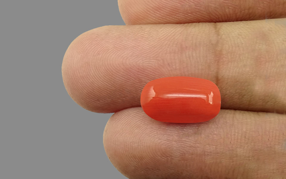 Red Coral - 4.88 Carat (5.39 Ratti - Moonga)