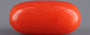 Red Coral - 4.91 Carat (5.43 Ratti - Moonga)