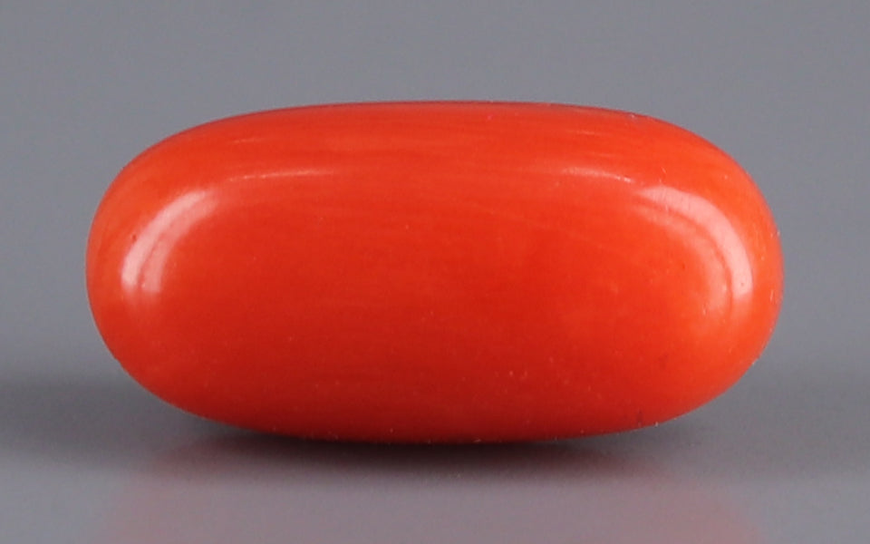 Red Coral - 4.91 Carat (5.43 Ratti - Moonga)