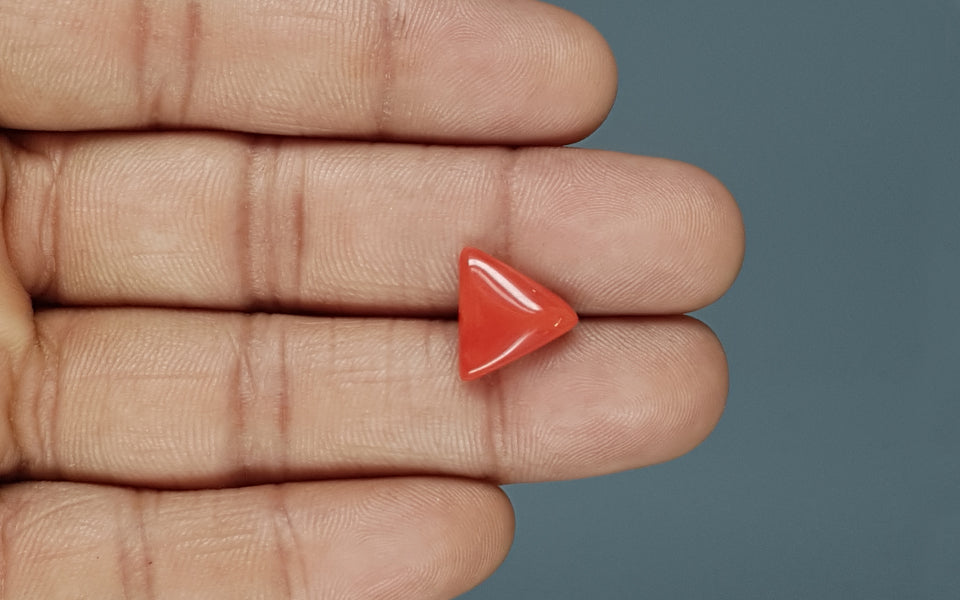 Italian Red Coral - 4.92 Carat Prime Quality TC-5124