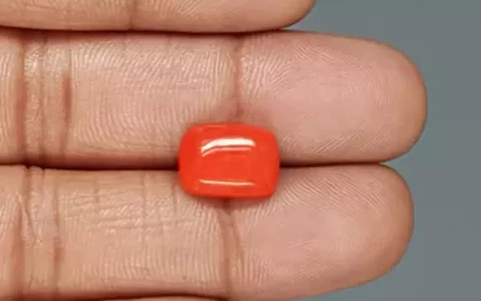 Red Coral - 4.98 Carat (5.50 Ratti - Moonga)