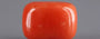 Red Coral - 4.98 Carat (5.50 Ratti - Moonga)