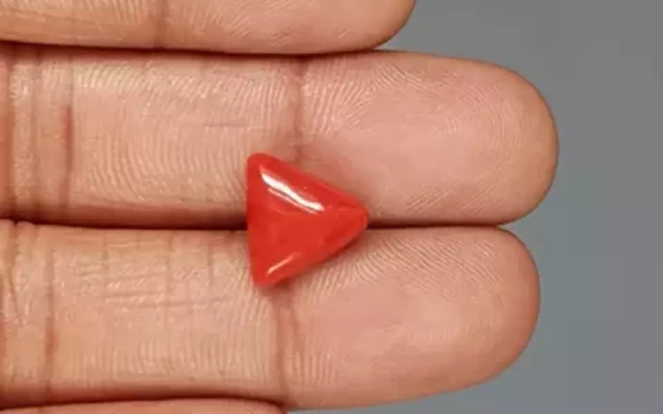 Red Coral - 5.01 Carat (5.54 Ratti - Moonga)