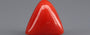 Italian Red Coral - 5.03 Carat Rare Quality TC-5363