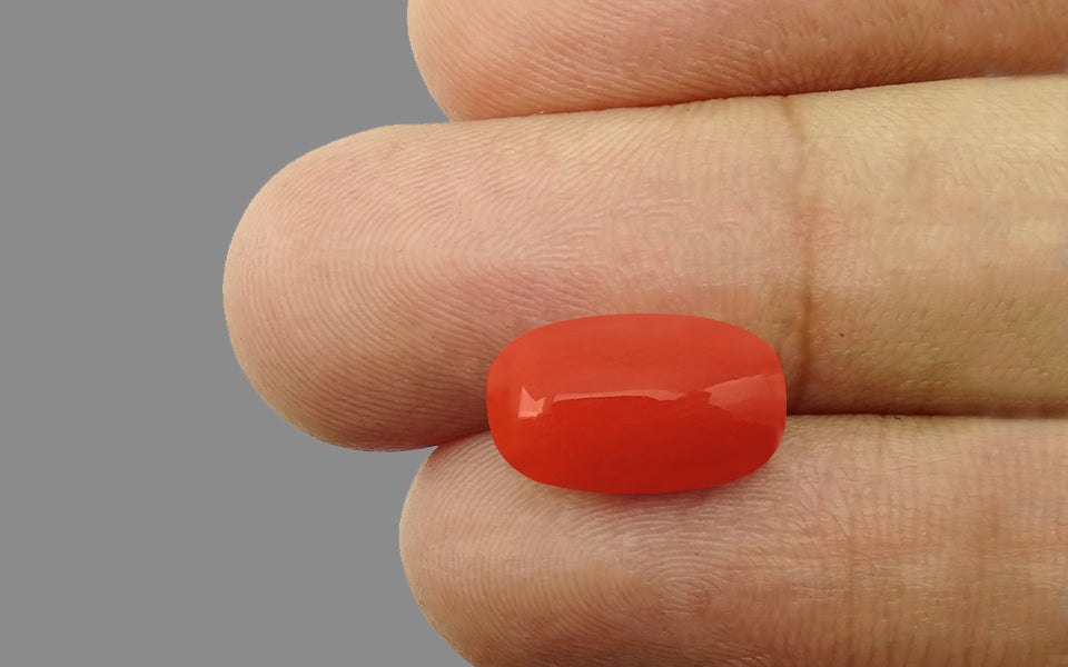Red Coral - 5.07 Carat (5.60 Ratti - Moonga)