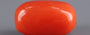 Red Coral - 5.07 Carat (5.60 Ratti - Moonga)